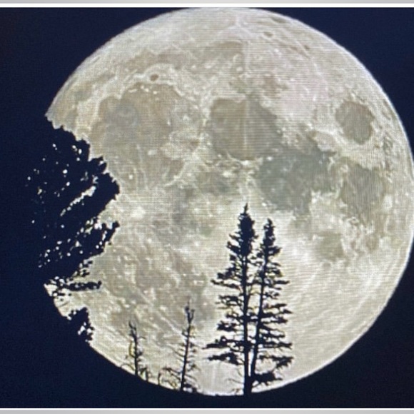 🧜🏻‍♀️🦀💛🎥LIVE LIKE❤️SHARE LISTING🪸2 BE NOTICE WHEN I G🌕 LIVE. - Picture 9 of 12